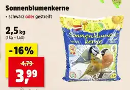 Thomas Philipps Sonnenblumenkerne Angebot