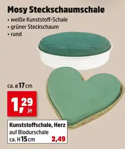 Thomas Philipps Mosy steckschalumschale Angebot