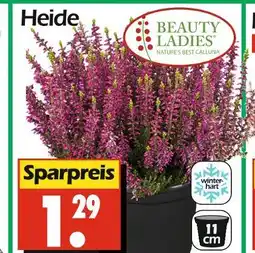 Wreesmann Beauty ladies heide Angebot