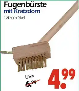 Wreesmann Fugenbürste mit kratzdorn Angebot