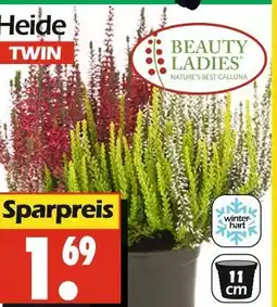 Wreesmann Beauty ladies heide twin Angebot