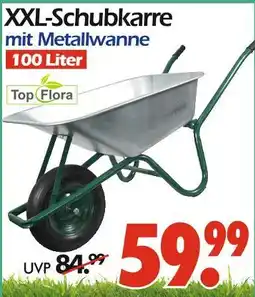 Wreesmann Top flora xxl-schubkarre mit metallwanne Angebot