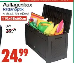 Wreesmann Auflagenbox Angebot
