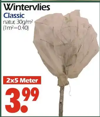 Wreesmann Wintervlies classic Angebot