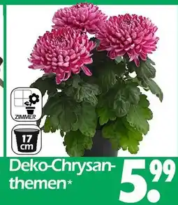 Wreesmann Deko-chrysanthemen Angebot