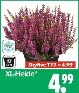 Wreesmann Xl-heide Angebot