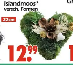Wreesmann Islandmoos Angebot