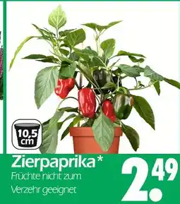 Wreesmann Zierpaprika Angebot