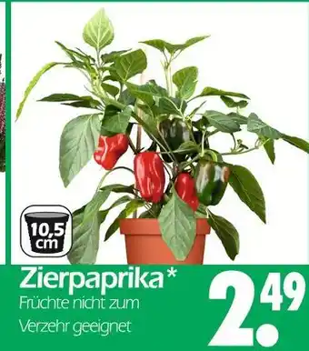 Wreesmann Zierpaprika Angebot