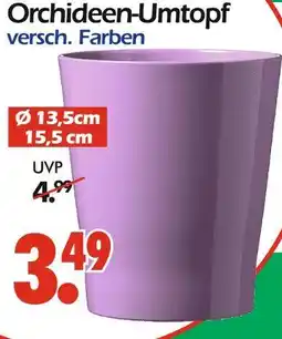 Wreesmann Orchideen-umtopf Angebot