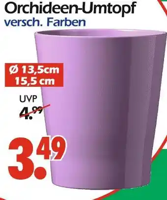 Wreesmann Orchideen-umtopf Angebot