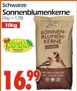 Wreesmann Bird's garden schwarze sonnenblumenkerne Angebot