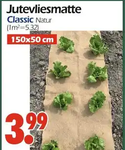Wreesmann Jutevliesmatte classic natur Angebot