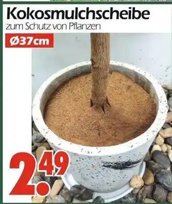 Wreesmann Kokosmulchscheibe Angebot