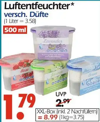 Wreesmann Lavender Angebot