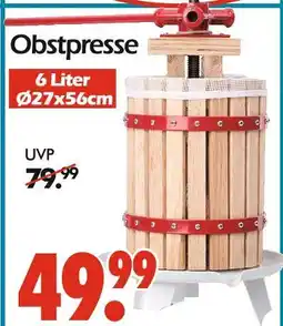 Wreesmann Obstpresse Angebot