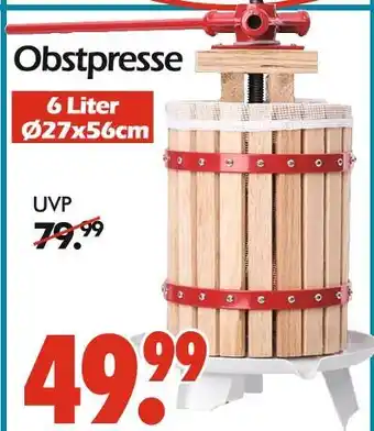 Wreesmann Obstpresse Angebot