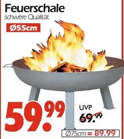 Wreesmann Feuerschale Angebot
