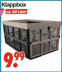 Wreesmann Klappbox Angebot