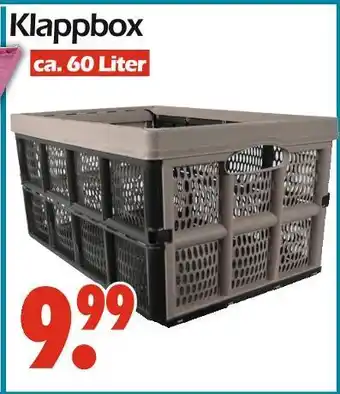 Wreesmann Klappbox Angebot