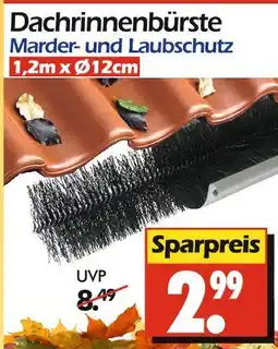 Wreesmann Dachrinnenbürste Angebot