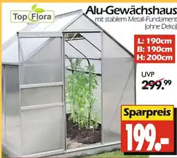 Wreesmann Top flora alu-gewächshaus Angebot