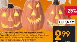 Rusta Led-dekorationsbeleuchtung halloween pumpkin Angebot