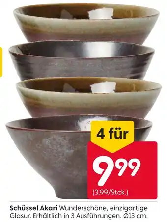 Rusta Schüssel akari Angebot