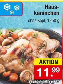 Zimmermann Hauskaninchen Angebot