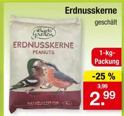 Zimmermann Birds' garden erdnusskerne Angebot