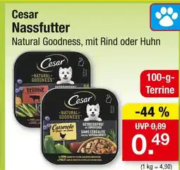 Zimmermann Cesar natural goodness terrine Angebot