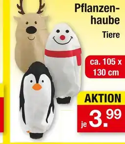 Zimmermann Pflanzenhaube tiere Angebot