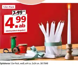 Segmüller Spitzkerze Angebot