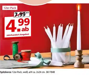 Segmüller Spitzkerze Angebot