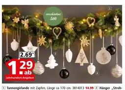 Segmüller Tannengirlande Angebot