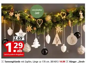 Segmüller Tannengirlande Angebot