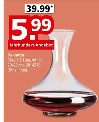 Segmüller Dekanter Angebot