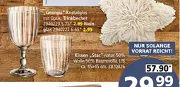 Segmüller Trinkbecher Angebot