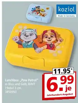 Segmüller Koziol lunchbox „paw patrol“ Angebot