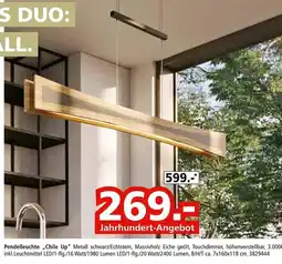 Segmüller Pendelleuchte chile up Angebot