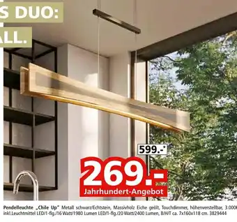 Segmüller Pendelleuchte chile up Angebot