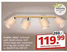 Segmüller Strahler „boho“ Angebot