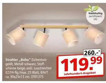 Segmüller Strahler „boho“ Angebot