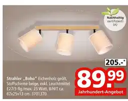Segmüller Strahler „boho” Angebot