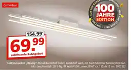 Segmüller Deckenleuchte „baxley“ Angebot