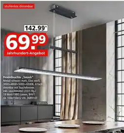 Segmüller Pendelleuchte „smash“ Angebot