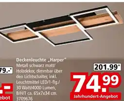 Segmüller Deckenleuchte „harper“ Angebot
