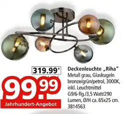 Segmüller Deckenleuchte riha Angebot