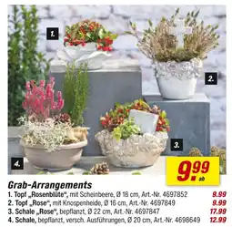 toom Baumarkt Topf 'rosenblüte' Angebot