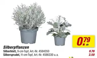 toom Baumarkt Silberblatt Angebot
